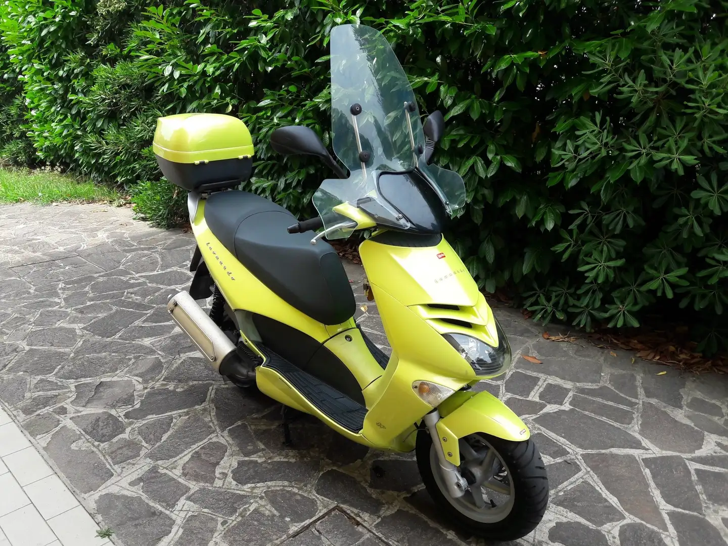 Aprilia Leonardo 250 Gelb - 2