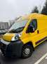 Fiat Ducato Ducato GR-Panorama 33L2H2 115 Multijet GR-Panorama Gelb - thumbnail 6
