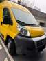 Fiat Ducato Ducato GR-Panorama 33L2H2 115 Multijet GR-Panorama Gelb - thumbnail 4