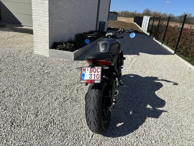 Triumph Trident 660 - foto 3