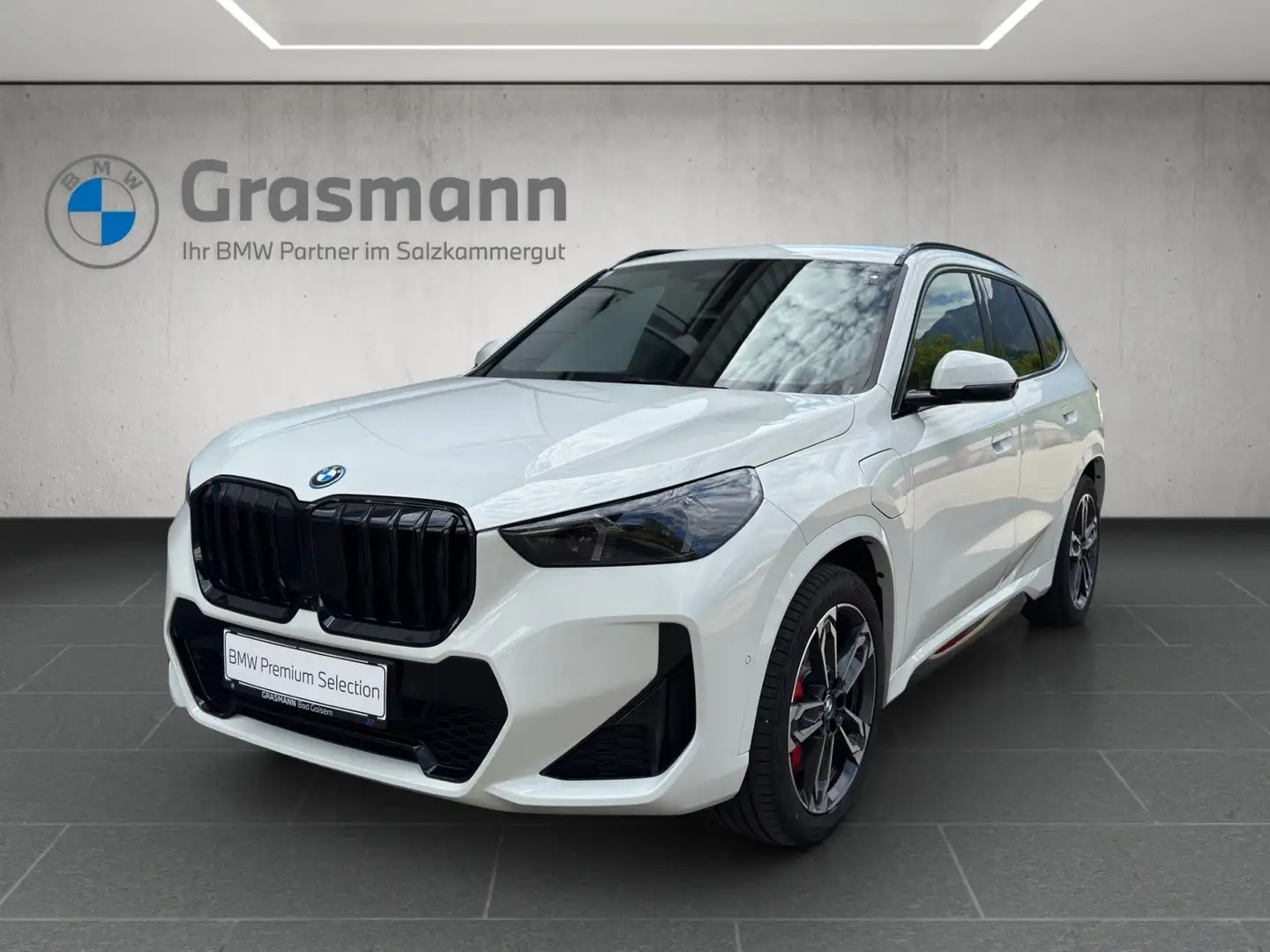 BMW X1 xDrive25e Weiß - 1