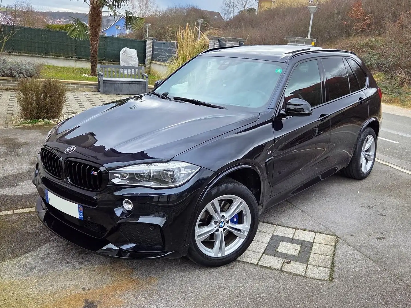 BMW X5 X5 xDrive 40d 313 INDIVIDUAL Pack M / Carnet BMW Bleu - 2