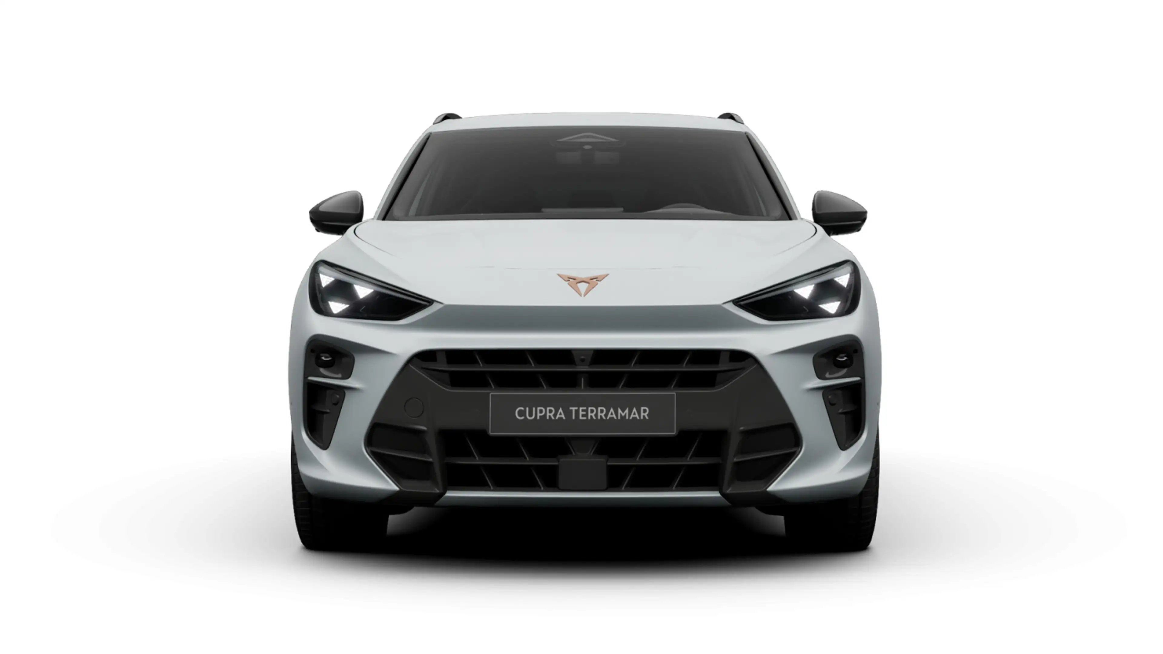 CUPRA Terramar 1.5eTSI DSG AHK Matrix 360° HUD Nav ACC — photo 4