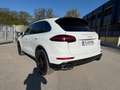 Porsche Cayenne Cayenne II S PHEV Hybrid Aut. S - thumbnail 3