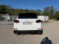 Porsche Cayenne Cayenne II S PHEV Hybrid Aut. S - thumbnail 4
