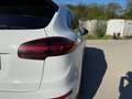 Porsche Cayenne Cayenne II S PHEV Hybrid Aut. S - thumbnail 12
