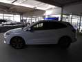 Ford Kuga Kuga 1.5 EcoBoost ST-Line Start/Stopp (EURO 6d) Blanc - thumbnail 2