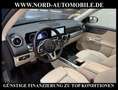 Mercedes-Benz GLB 220 d 4M Progressive *Distro+*Wide*AHK*StHz* Progressi Blau - thumbnail 14