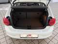 Volkswagen Polo Polo 1,0 Comfortline TSI  **EXPORTPREIS** Weiß - thumbnail 15