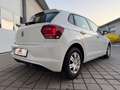 Volkswagen Polo Polo 1,0 Comfortline TSI  **EXPORTPREIS** Weiß - thumbnail 9