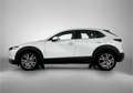 Mazda CX-30 2.0 e-SkyActiv-X M Hybrid Comfort Wit - thumbnail 3
