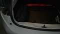 Renault ZOE Zoe Intens R110 Flex 108cv Bianco - thumbnail 11