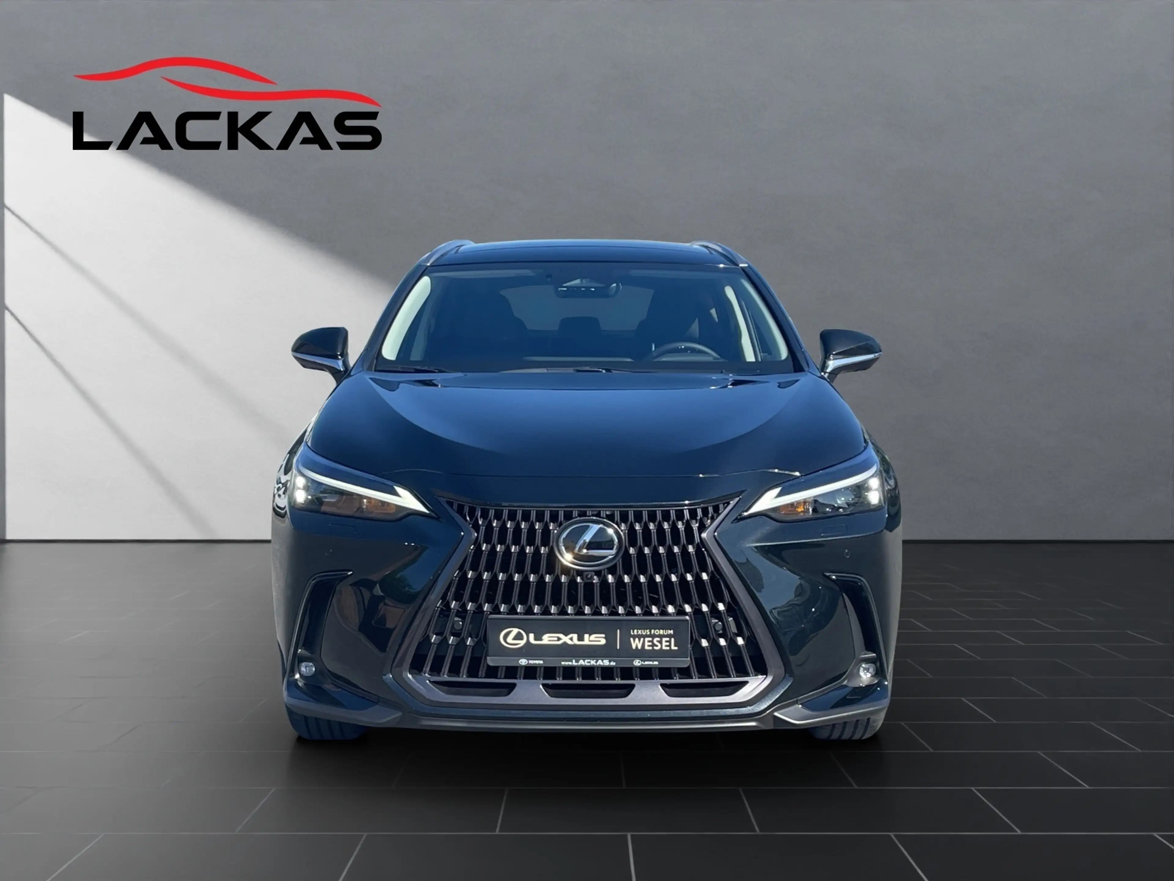 Lexus NX 450h+ + Executive Interieur+TechnoloP+360CAM+ — photo 8