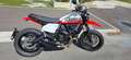 Ducati Scrambler 800 Urban Motard Bianco - thumbnail 5