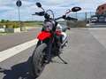 Ducati Scrambler 800 Urban Motard Bianco - thumbnail 7