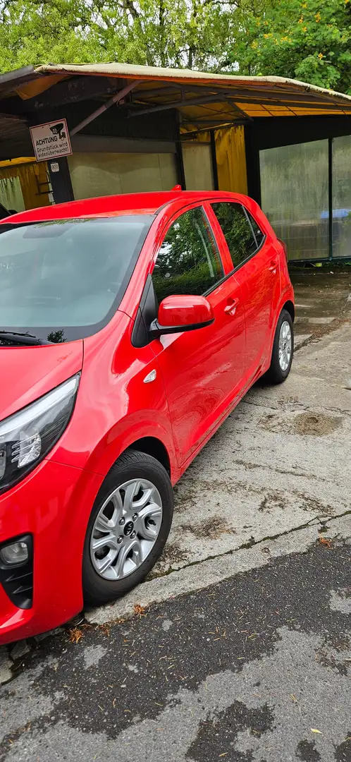 Kia Picanto Picanto 1.0 Dream-Team Edition Rot - 2