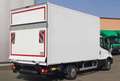 Iveco Daily Daily 35S16A8 Koffer/LBW - Neues Modell Weiß - thumbnail 5