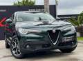 Alfa Romeo Stelvio 2.2 T Executive Q4 210CV TETTO PELLE CAM Verde - thumbnail 13