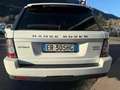 Land Rover Range Rover Sport 3.0 SDV6 HSE Bianco - thumbnail 7