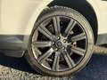 Land Rover Range Rover Sport 3.0 SDV6 HSE Bianco - thumbnail 5