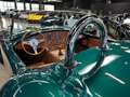 AC Cobra MOHR COBRA - 5.0 - dati in descrizione - OMOLOGATA - thumbnail 19