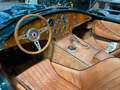 AC Cobra MOHR COBRA - 5.0 - dati in descrizione - OMOLOGATA - thumbnail 9