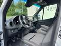 Mercedes-Benz Sprinter 317 CDI Kasten PRO Hochdach Standard Weiß - thumbnail 9