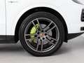 Porsche Cayenne E-Hybrid Aut. Blanco - thumbnail 6