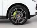 Porsche Cayenne E-Hybrid Aut. Bianco - thumbnail 6