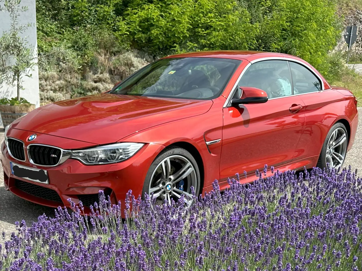 BMW M4 M4 Cabrio DKG Oranj - 1