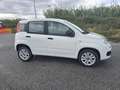 Fiat Panda FIAT PANDA 0.9 TURBO + GARANZIA - thumbnail 3