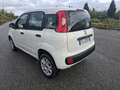 Fiat Panda FIAT PANDA 0.9 TURBO + GARANZIA - thumbnail 8