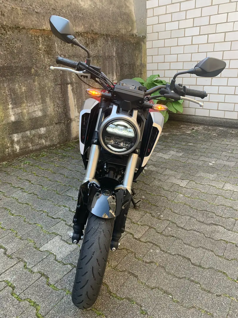 Honda CB 125 r Rot - 2