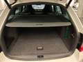 Skoda Octavia Combi RS 2,0 TDI Green tec DSG Weiß - thumbnail 19