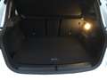 BMW 216 216d Active Tourer Advantage my15 Bianco - thumbnail 13
