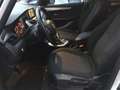 BMW 216 216d Active Tourer Advantage my15 Bianco - thumbnail 11