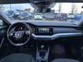 Skoda Octavia Combi 1.5TSI FIRST EDITION*VC*LED*PDC*17-ZOLL Bianco - thumbnail 13