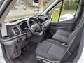 Ford Transit 350 L3 Trend Weiß - thumbnail 11