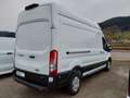 Ford Transit 350 L3H3 Trend Express Line-Paket Weiß - thumbnail 3