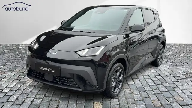 BYD Dolphin Surf