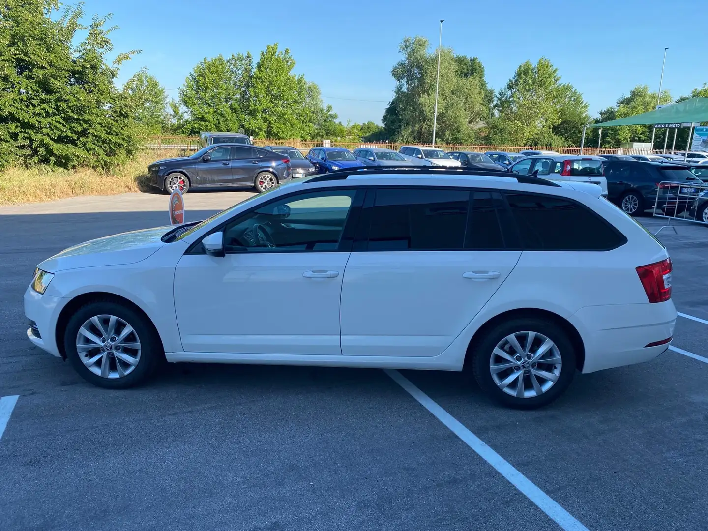 Skoda Octavia 1.6 TDI SCR 115 CV Wagon Executive Bianco - 2