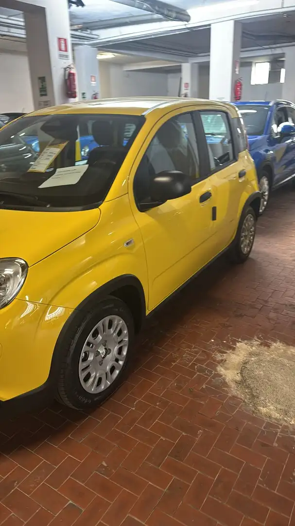 Fiat Panda Panda 1.0 firefly hybrid s Giallo - 2