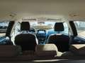 Ford Focus Focus SW 1.5 tdci Titanium 120CV Silber - thumbnail 13