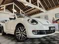 Volkswagen Coccinelle 1.2 TSI 105CH ALLSTAR Etat neuf - 22900 kms Weiß - thumbnail 18