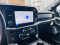 Ford F 150 5.0 V8 / LARIAT / LPG / ROLLER SHUTTER / FULL Grau - thumbnail 10