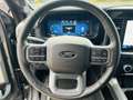 Ford F 150 5.0 V8 / LARIAT / LPG / ROLLER SHUTTER / FULL Grau - thumbnail 8