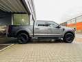 Ford F 150 5.0 V8 / LARIAT / LPG / ROLLER SHUTTER / FULL Grau - thumbnail 5