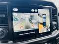 Ford F 150 5.0 V8 / LARIAT / LPG / ROLLER SHUTTER / FULL Grau - thumbnail 12