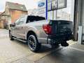 Ford F 150 5.0 V8 / LARIAT / LPG / ROLLER SHUTTER / FULL Grau - thumbnail 3