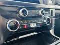 Ford F 150 5.0 V8 / LARIAT / LPG / ROLLER SHUTTER / FULL Grau - thumbnail 13